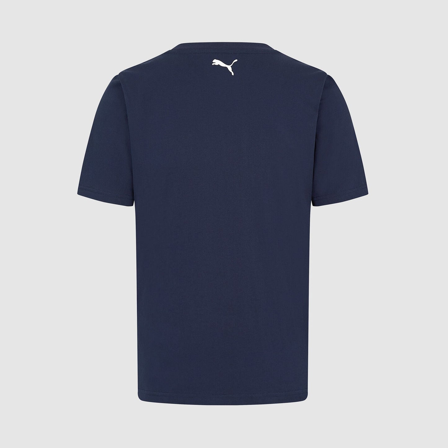 Playera H Casual Williams Racing 2025
