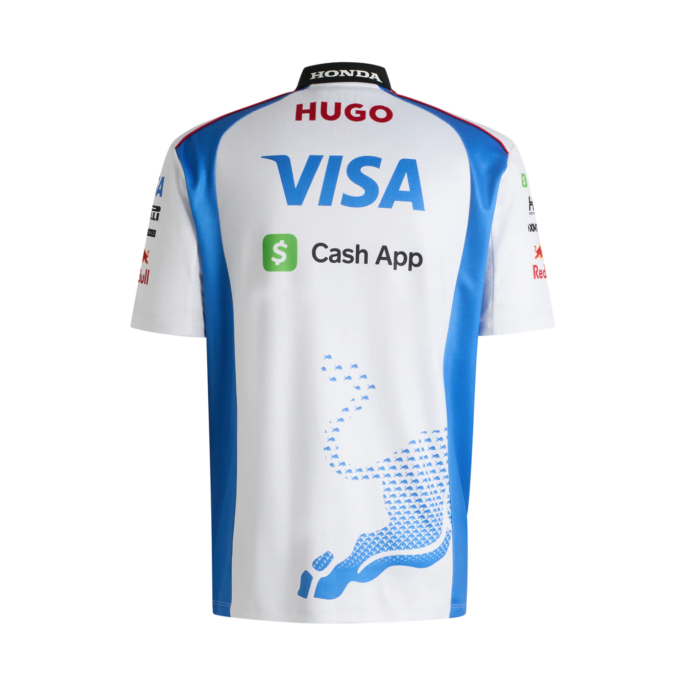Polo H Visa Cash App Rb 2025
